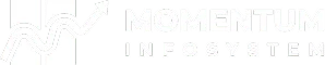 Momentum Infosystem