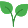 About 16 leaf